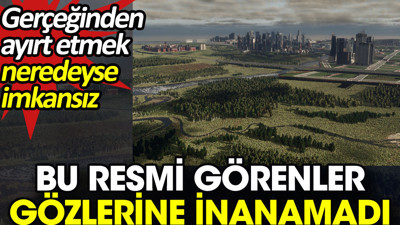 Bu resmi görenler gözlerine inanamadı. Gerçeğinden ayırt etmek neredeyse imkansız