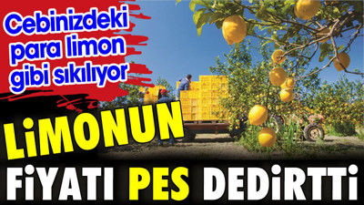 Limonun fiyatı pes dedirtti. Cebinizdeki para limon gibi sıkılıyor
