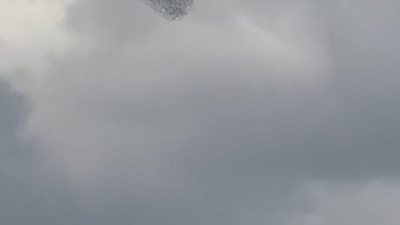 Sığırcıkların dansı görenleri büyüledi