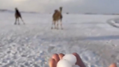 Suudi Arabistan'da yağan dolu tüm çölü beyaza bürüdü