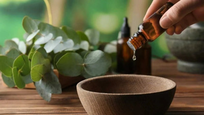 Ülsere faydalıdır. Sivrisinekleri uzak tutar. İşte şifa deposu ot