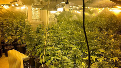 Villayı uyuşturucu serasına çevirdiler