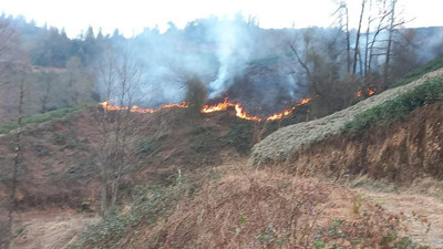 Artvin’de orman yangını