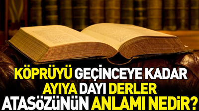Köprüyü geçinceye kadar ayıya dayı derler atasözünün anlamı nedir?