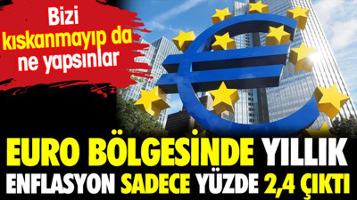 Euro bölgesinde yıllık enflasyon sadece yüzde 2,4 oldu. Bizi kıskanmayıp ne yapsınlar