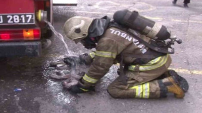 Yangından etkilenen köpek için ekipler seferber oldu