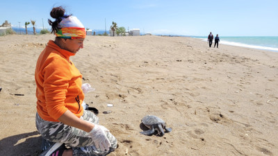 Nesli tükenme tehlikesi altındaki hayvan ölü bulundu