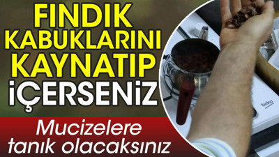 Fındık kabuklarını kaynatıp içerseniz mucizelere tanık olacaksınız