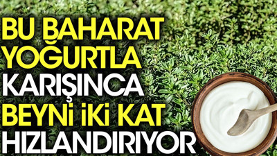 Bu baharat yoğurtla karışınca beyni iki kat hızlandırıyor