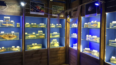 Antalya Deniz Biyolojisi Müzesi boşaltılıyor