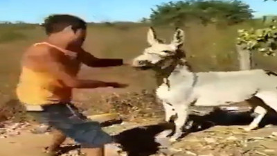 Tekme tokat dövdüğü eşeğin intikamı acı oldu: Bacağından ısırıp dakikalarca sürükledi