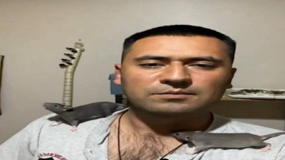 Farelerle yaşayan adam sosyal medyada gündem oldu 'Fareler masumdur, insanlar iğrençtir'