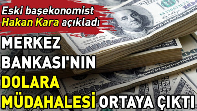 Merkez Bankası'nın dolara müdahalesi ortaya çıktı. Eski başekonomist Hakan Kara açıkladı