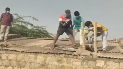 Su tankının içinden 30 maymun ölüsü çıktı