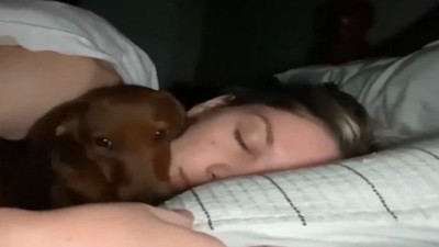 Kabus gören köpeğin sahibine sığınması kalpleri eritti