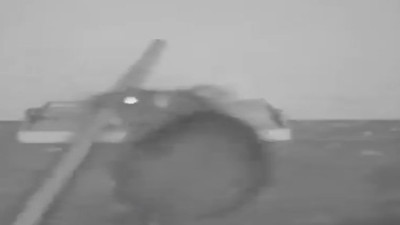 Fare kapanını çubukla etkisiz hale getiren fare peyniri afiyetle yedi