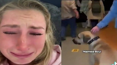 Boji'nin dokunaklı hikayesi dünya gündemine damga vurdu: İzleyenleri gözyaşlarına boğdu!