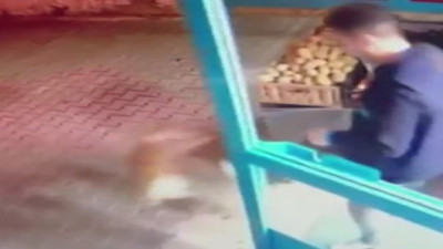 Dünya Sokak Hayvanları Günü'nde mağazadaki kediyi tekmeleyerek dışarı attı!