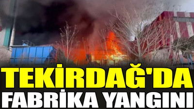 Tekirdağ'da fabrika yangını (05 Nisan 2024)