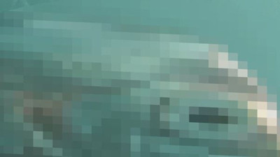 Kıyametin habercisi dev hayvan yine ortaya çıktı. 7.4'lük depremden önce oltaya takılmıştı