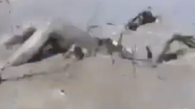 Çamurda takla atmaya çalışırken boğularacak can verecekti