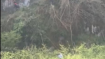 Ağaç keserken dengesini kaybedip uçurumdan düştü