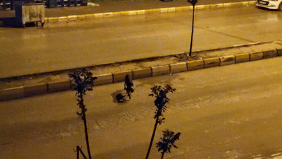 Gök gürültüsünden korkan yavrularını tek tek taşıdı