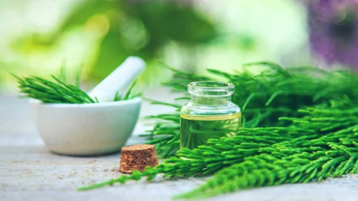 Kuş kuyruğu nelere iyi geliyor? İşte mucizleri...