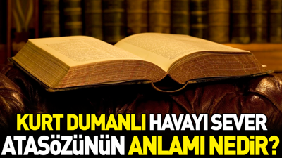 Kurt dumanlı havayı sever atasözünün anlamı nedir?