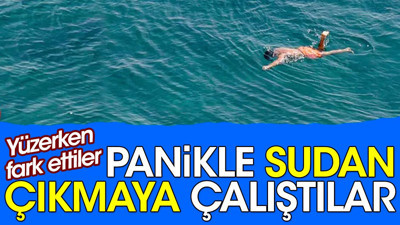 Panikle sudan çıkmaya çalıştılar. Yüzerken fark ettiler