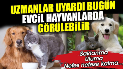 Uzmanlar uyardı bugün evcil hayvanlarda görülebilir