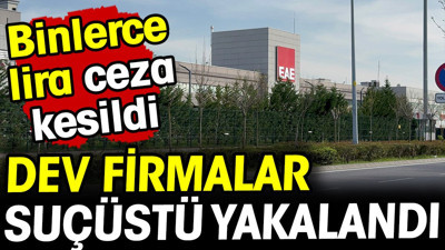 Kocaeli'de dev firmalar suçüstü yakalandı! Binlerce lira ceza kesildi
