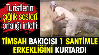 Timsah bakıcısı 1 santimle erkekliğini kurtardı. Turistlerin çığlık sesleri ortalığı inletti
