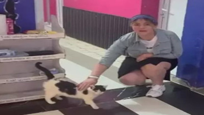 Mahsur kalan kediyi kurtarmak için 5 saat süren ikna çabası: Sahibi izin vermedi