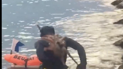 Sırtına yapışan ahtapottan kurtulmaya çalışan dalgıcın çabası