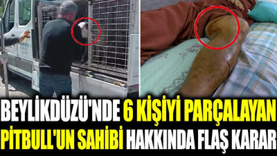 Beylikdüzü'nde 6 kişiyi parçalayan Pitbull'un sahibi hakkında flaş karar