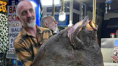 Antepli balıkçılar dev kalkan balığı tuttu