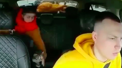 Kafesten kaçan kedi seyir halindeki takside zor anlar yaşattı