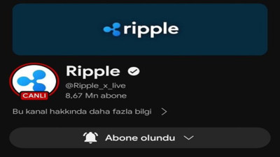 Ruhi Çenet'in milyonluk hesabı çalındı