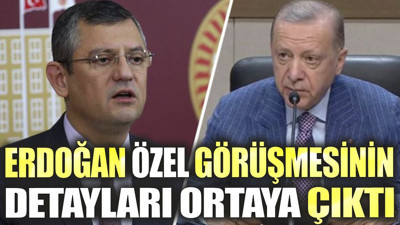 Erdoğan Özel görüşmesinin detayları ortaya çıktı