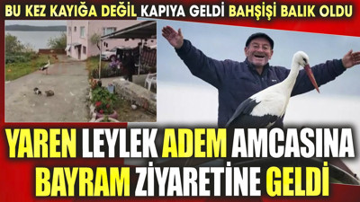 Yaren leylek Adem amcasına bayram ziyaretine geldi. Bu kez kayığa değil kapıya geldi, bahşişi balık oldu.