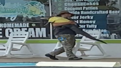 Evcil timsahını iş yerine götürdü