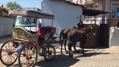 Faytoncuların silahlı kavgası: 3 yaralı