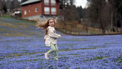 Türkiye'nin gizli cenneti mor renge büründü