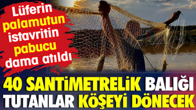 40 santimetrelik balığı tutanlar köşeyi dönecek. Lüferin, palamutun, istavritin pabucu dama atıldı