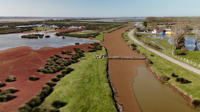 Kızılırmak Deltası ‘kızıl eğrelti otu’ ile kızıla büründü
