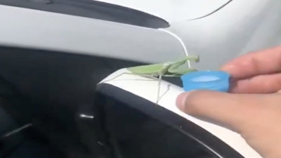 Susuz kalan peygamber devesine elleriyle su içirdi