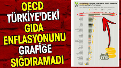 OECD Türkiye'deki gıda enflasyonunu grafiğe sığdıramadı