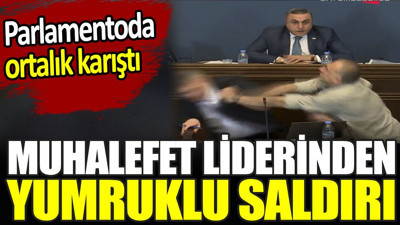 Muhalefet liderinden yumruklu saldırı. Parlamentoda ortalık karıştı