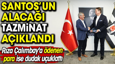 Beşiktaş Fernando Santos'un alacağı tazminatı açıkladı. Rıza Çalımbay'a ödenen para ise dudak uçuklattı